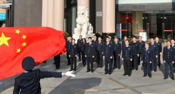 高级税务师主要工作-高级税务工作